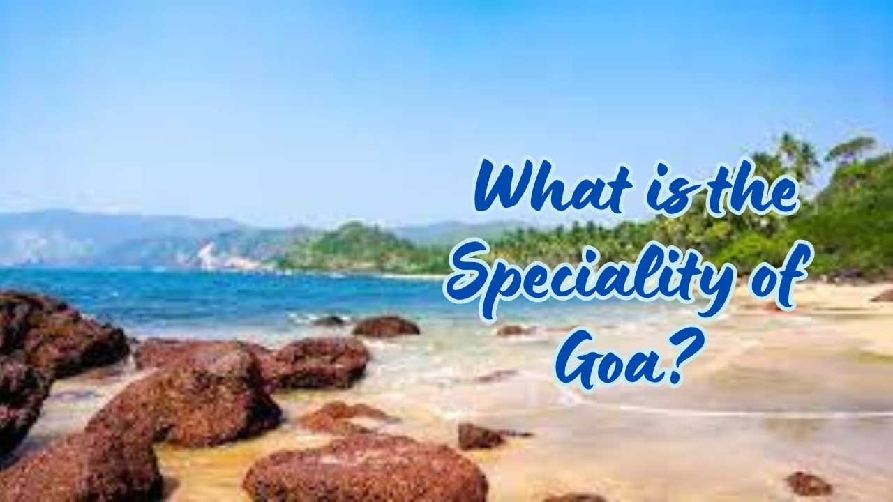 What is the Speciality of Goa?
